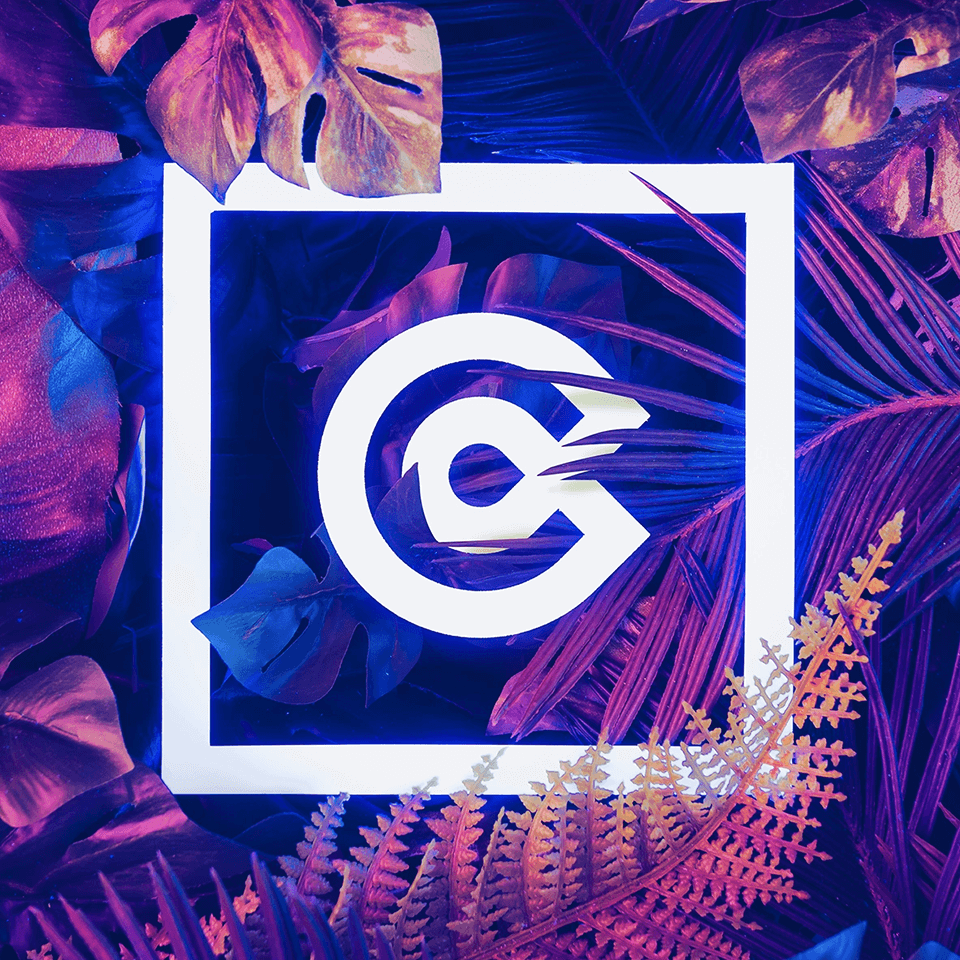 American Web Builders Image